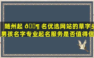 随州起 🐶 名优选网站的草字头男孩名字专业起名服务是否值得信赖